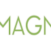 Magnetic Control
